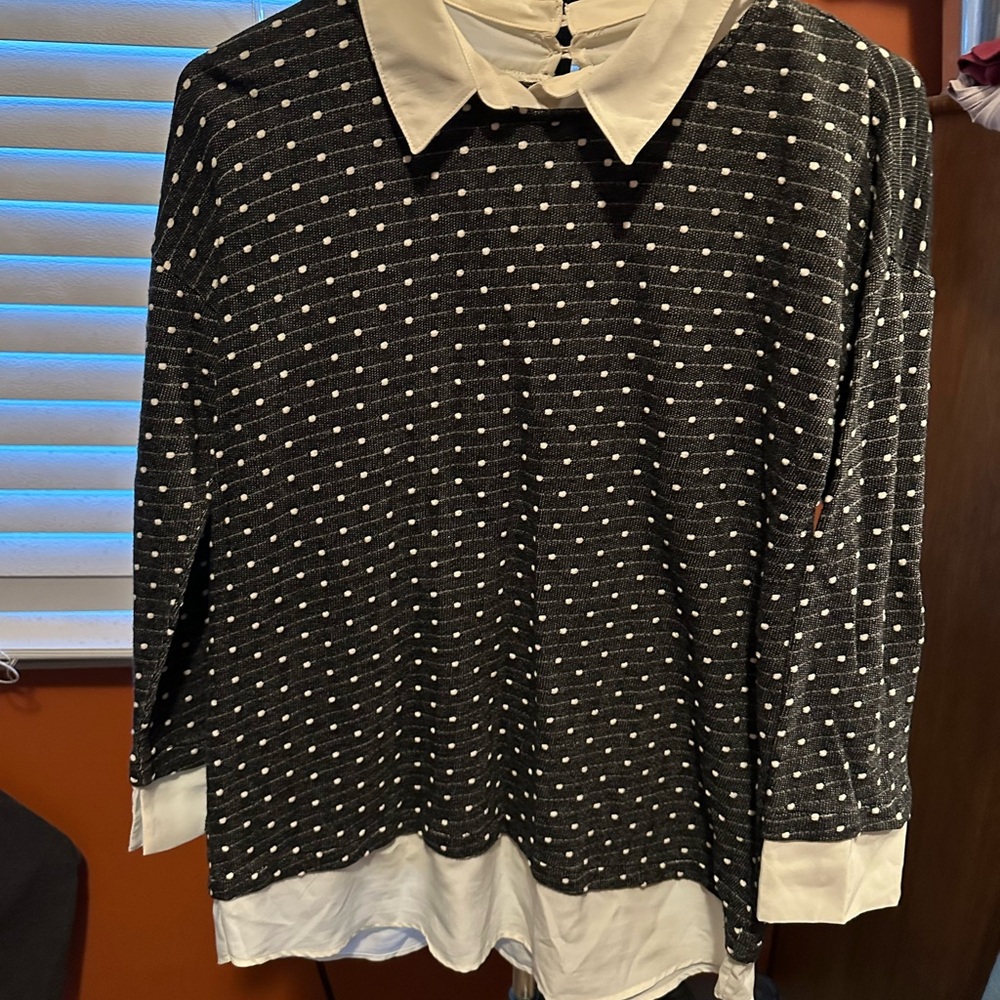 Ann Taylor Blue and White Polka Dot Blouse